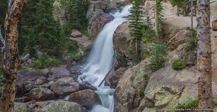 Alberta Falls - Rocky Mountain National Park
