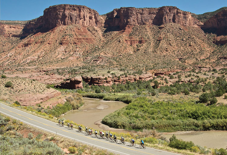 Biking from Mountains to Desert