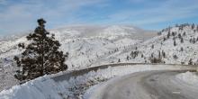 winter roadside survival
