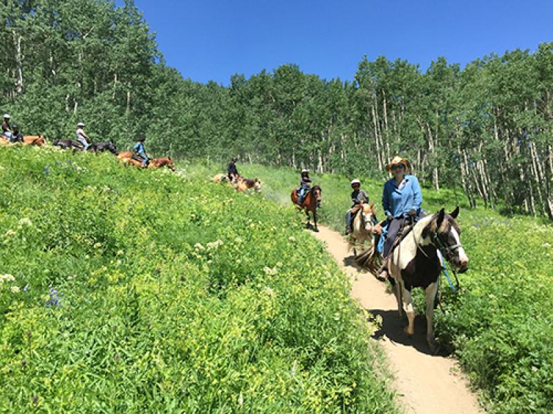 Horseback Riding in Colorado CO Travel Guide