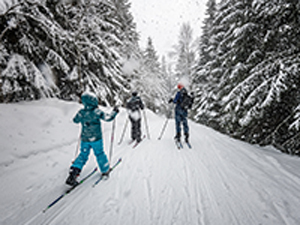 group cross-country skiing winter activity