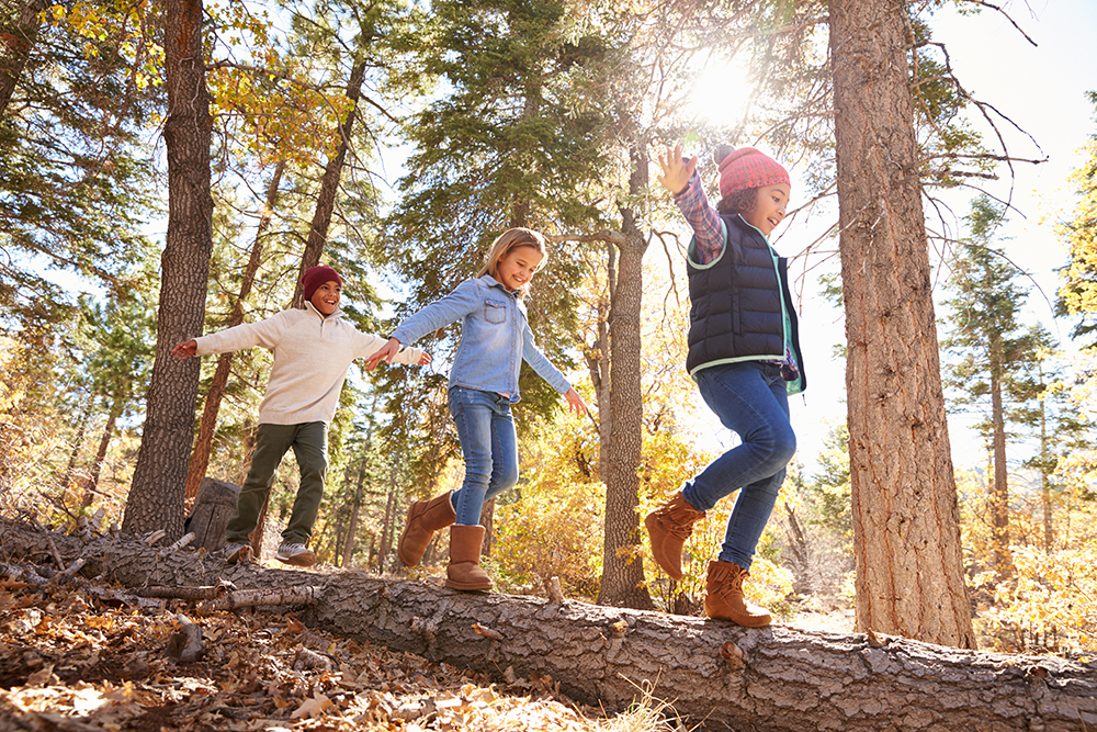 Family activities Friendly Hikes