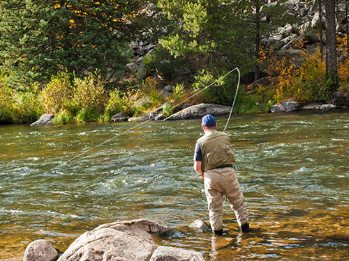 Colorado's Gold Medal Fishing Waters