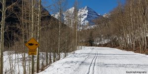 Cross Country Skiing Aspen