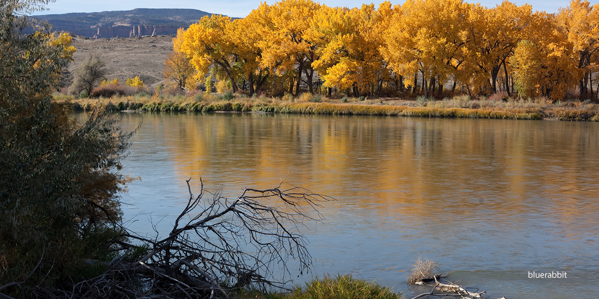 Colorado River: Fruita Section